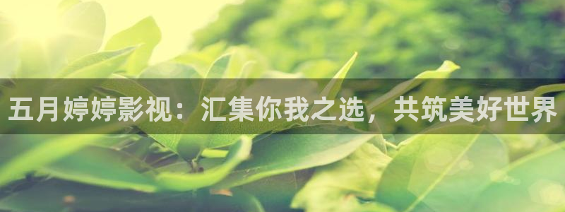 9d轨道影院是什么：五月婷婷影视：汇集你我之选，共筑美好世界