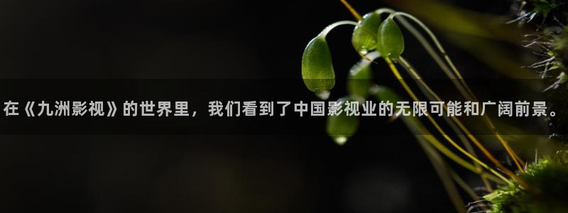 裸眼3d轨道轨道影院：在《九洲影视》的世界里，我们看到了中国影视业的无限可能和广阔前景。