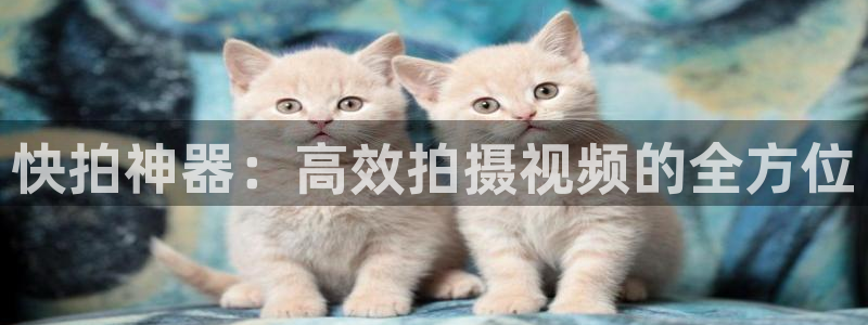 轨道影院是什么样的：快拍神器：高效拍摄视频的全方位