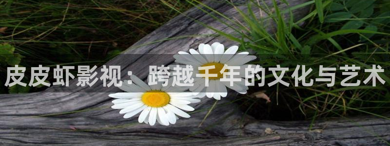 轨道影院厂家电话：皮皮虾影视：跨越千年的文化与艺术