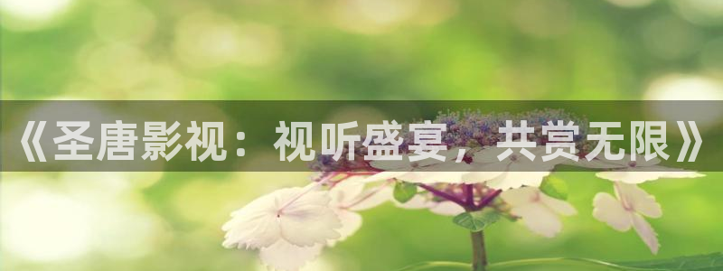 轨道影院飞行影院：《圣唐影视：视听盛宴，共赏无限》
