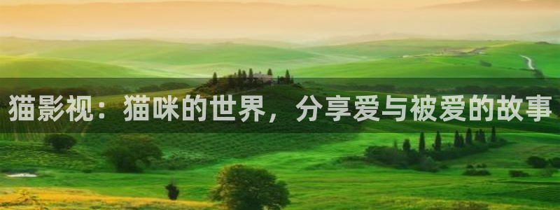 轨道环幕影院：猫影视：猫咪的世界，分享爱与被爱的故事