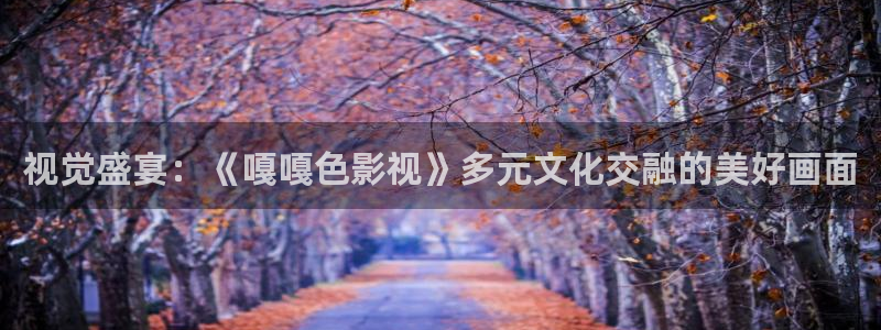 轨道影院和飞行影院的区别
